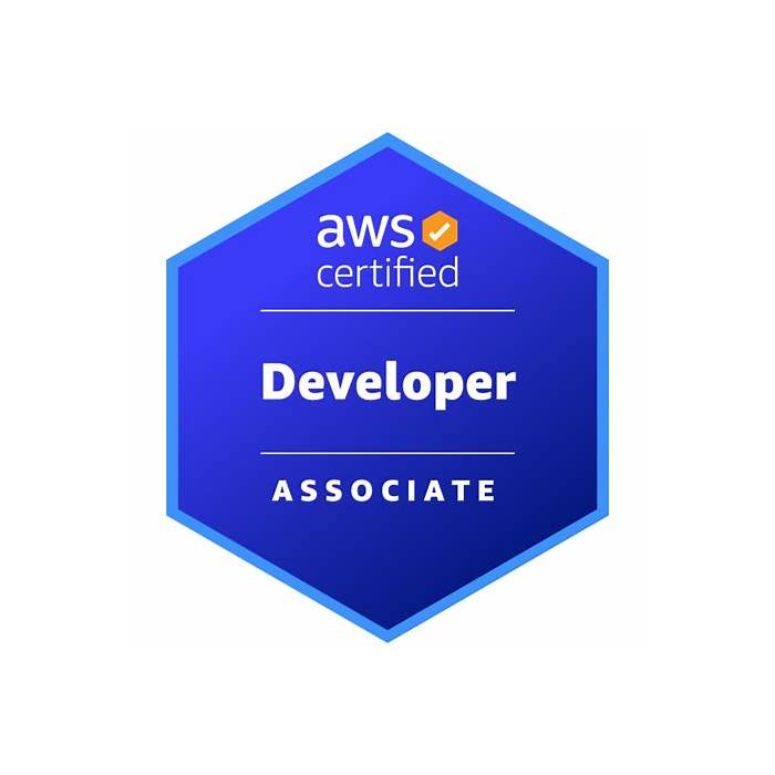 Latest AWS-Certified-Developer-Associate Cram Materials - Test AWS-Certified-Developer-Associate Online, Valid AWS-Certified-Developer-Associate Real Test