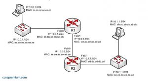 Cisco Real 200-301 Exam Questions | 200-301 Dumps Questions