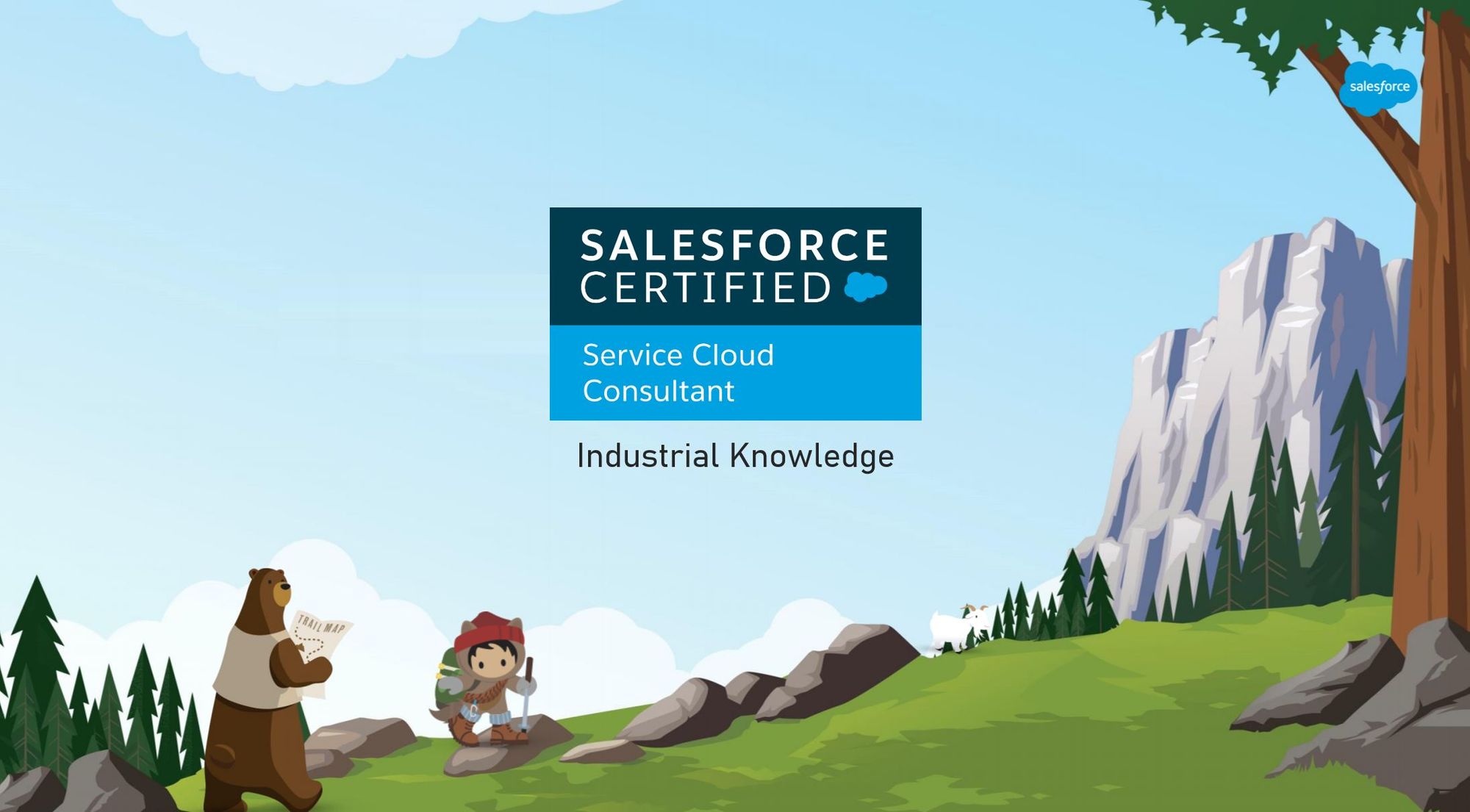 Salesforce B2C-Commerce-Developer Reliable Test Dumps | B2C-Commerce-Developer Training Courses