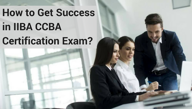 Pdf CCBA Braindumps - New CCBA Test Questions, Exam CCBA Revision Plan