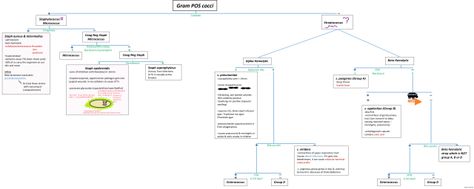 Actual ASCP-MLT Tests & New ASCP-MLT Exam Pdf - ASCP-MLT Reliable Test Cram