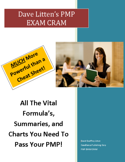 PMI New DASSM Test Sample - DASSM Valid Vce, Testking DASSM Exam Questions