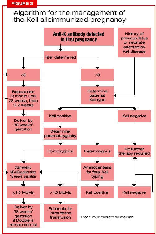 ASCP ASCP-MLT Test Review, ASCP-MLT Exam Quizzes | ASCP-MLT Real Dump