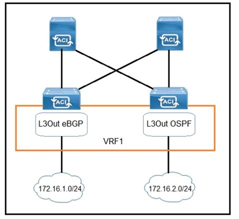 Cisco Latest Study 300-630 Questions & 300-630 Exam Collection Pdf