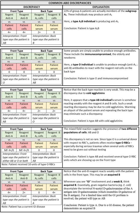 2024 ASCP-MLT Practice Questions | ASCP-MLT Latest Exam Pattern & MEDICAL LABORATORY TECHNICIAN - MLT(ASCP) Latest Exam Tips