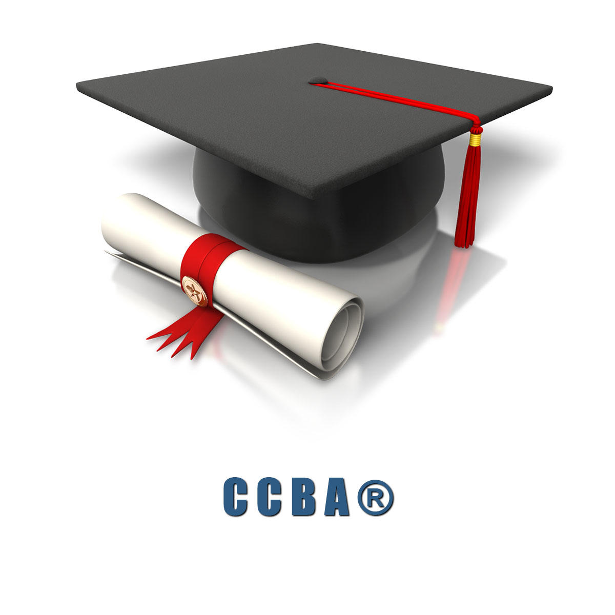 CCBA Pass Guide & CCBA Exam Quick Prep - CCBA Latest Test Format