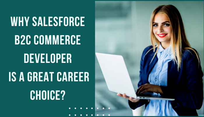 Test B2C-Commerce-Developer Price, Practice B2C-Commerce-Developer Online | B2C-Commerce-Developer Practice Exam Pdf