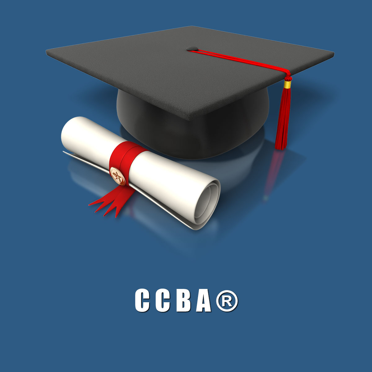 CCBA Test Papers, CCBA Reliable Exam Pdf | Exam CCBA Answers