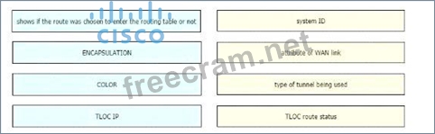 Cisco Exam 300-415 Assessment & Valid Braindumps 300-415 Book