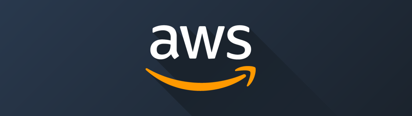 Amazon DVA-C01 Practice Exam Pdf, DVA-C01 Free Updates