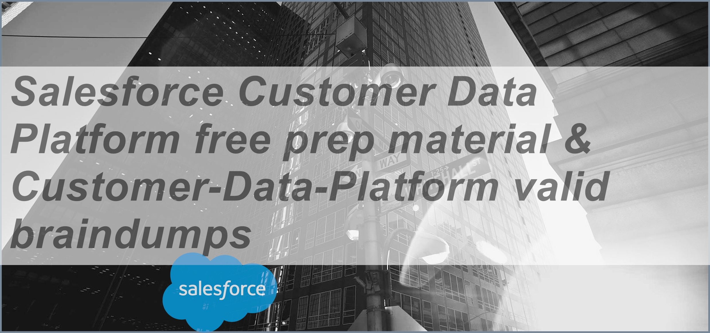 Certification Customer-Data-Platform Exam - Salesforce Customer-Data-Platform Exam Revision Plan