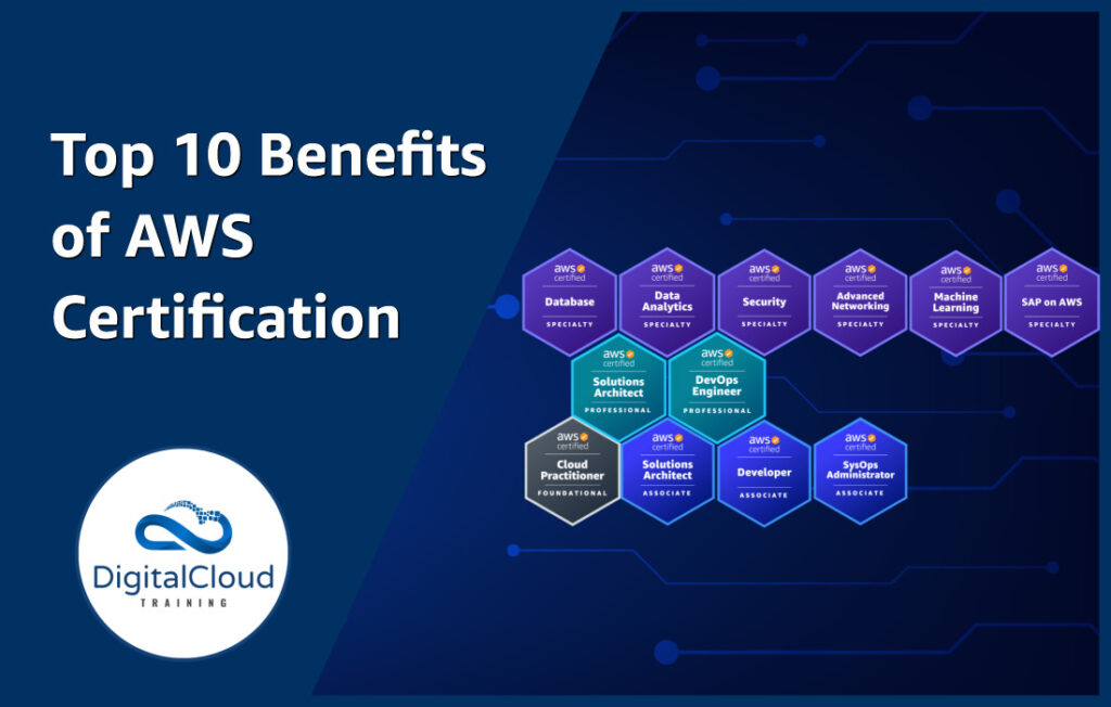 Reliable SAP-C02 Test Vce, Amazon SAP-C02 Latest Exam Labs