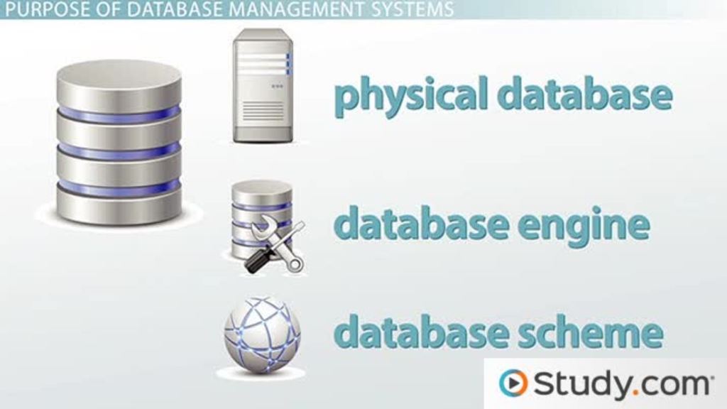 Valid Professional-Cloud-Database-Engineer Exam Format & Exam Professional-Cloud-Database-Engineer Dumps - Professional-Cloud-Database-Engineer New Question