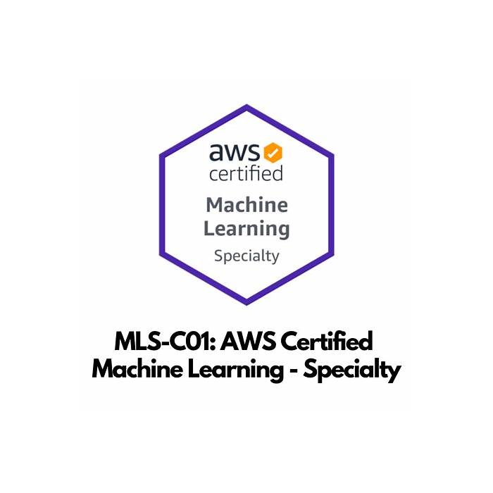 AWS-Certified-Machine-Learning-Specialty New Braindumps Questions - Amazon AWS-Certified-Machine-Learning-Specialty Valid Exam Discount