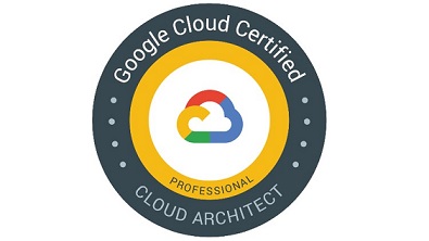 Valid Professional-Cloud-Architect Exam Duration - Professional-Cloud-Architect Test Pattern, Dump Professional-Cloud-Architect Check