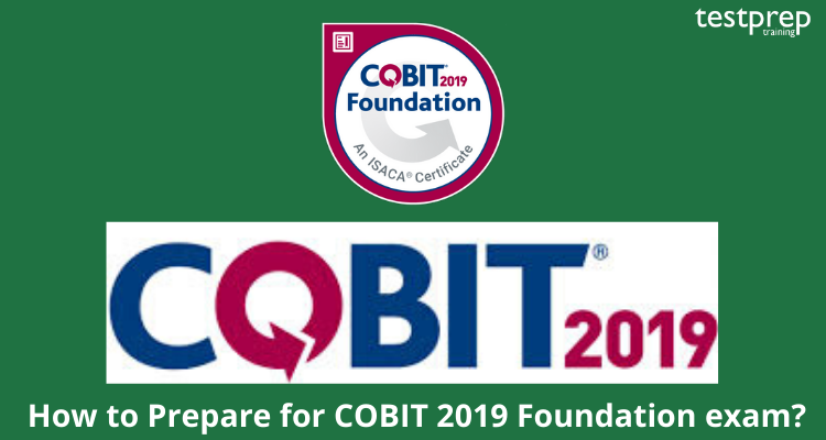 ISACA COBIT-2019 Test Pattern & Updated COBIT-2019 CBT - New COBIT-2019 Test Sims