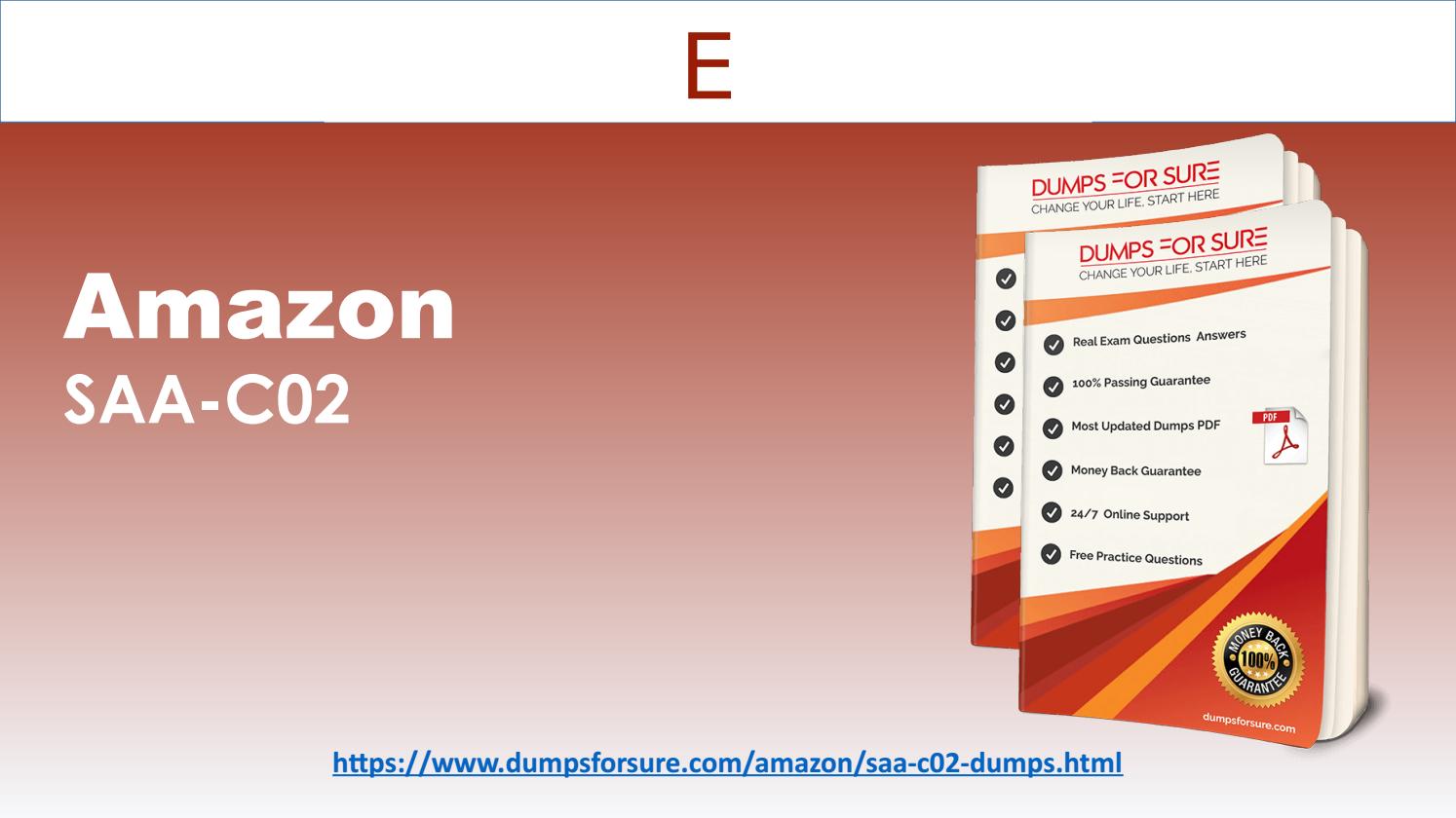 Amazon Exam SAP-C02 Overview - New SAP-C02 Test Answers