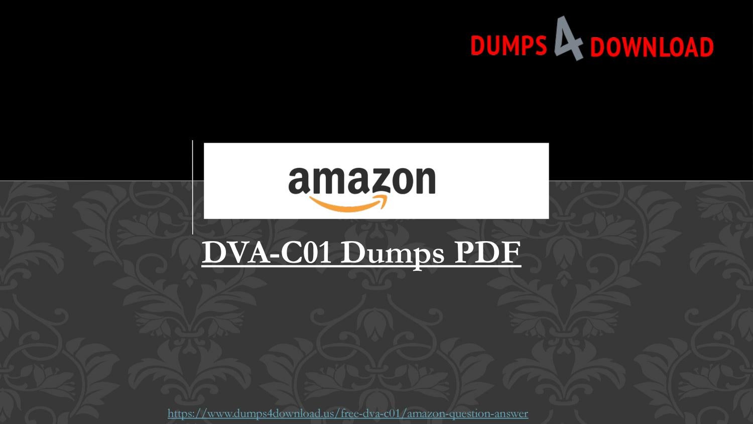 DVA-C02 Valid Test Dumps - Amazon DVA-C02 Test Guide Online