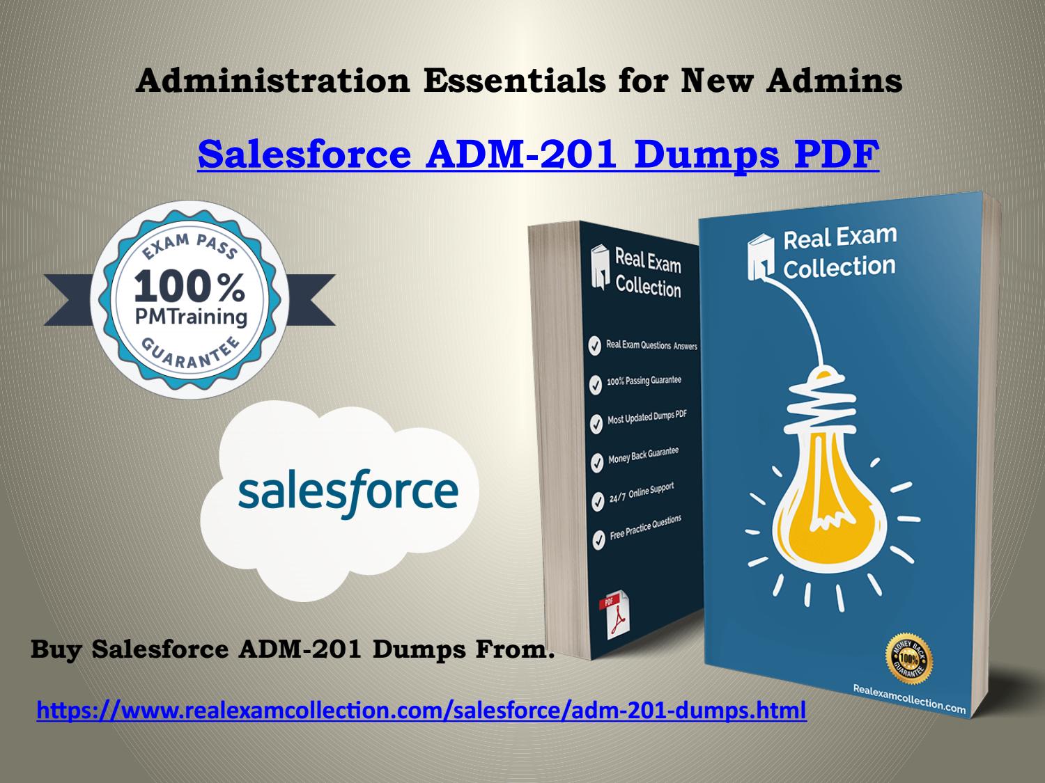 New ADM-201 Exam Prep - Salesforce ADM-201 Actual Dumps, ADM-201 Pass Guaranteed