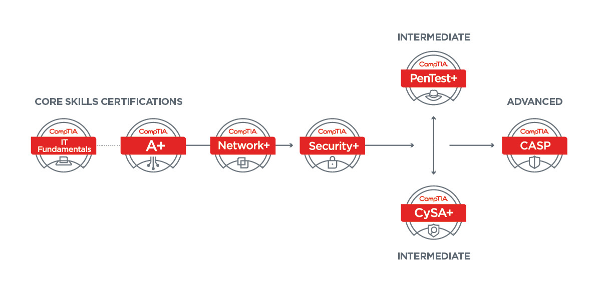 CompTIA Valid 220-1101 Vce Dumps - Mock 220-1101 Exams, 220-1101 New Study Notes