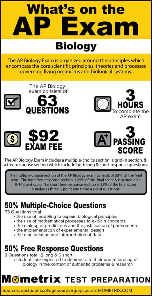 E_S4CPE_2023 Exam Dumps Free - Minimum E_S4CPE_2023 Pass Score, New E_S4CPE_2023 Exam Pattern