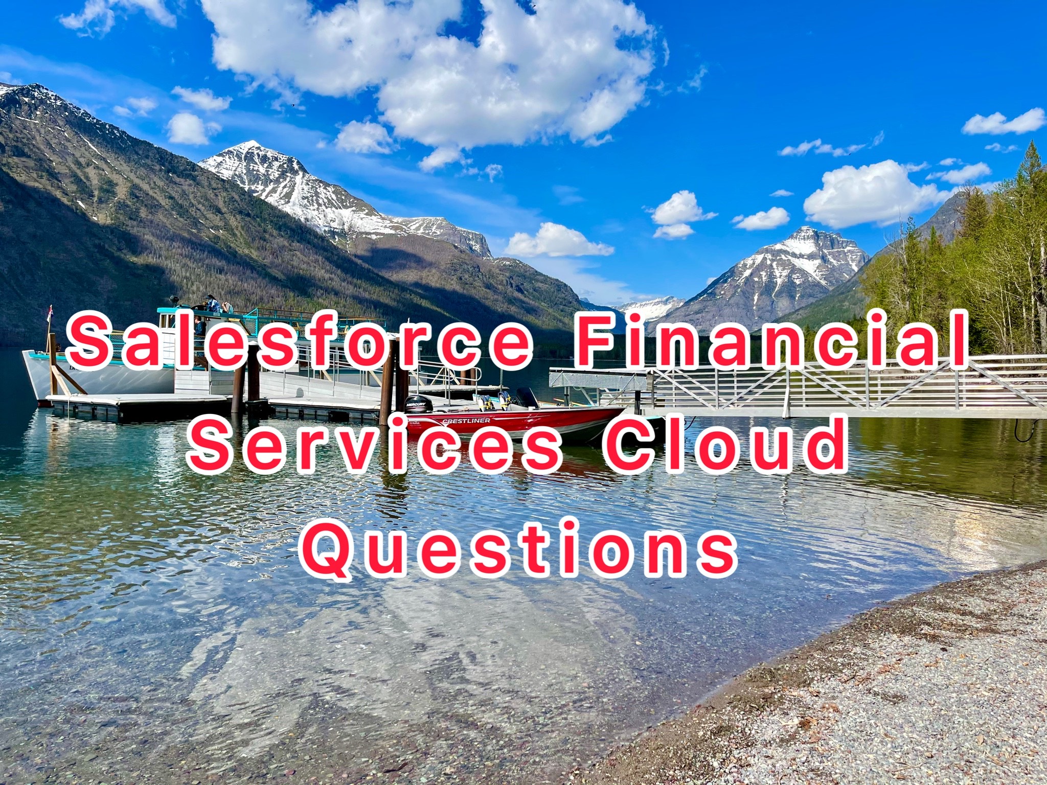 Exam Financial-Services-Cloud Simulator Online, Financial-Services-Cloud Valid Exam Testking