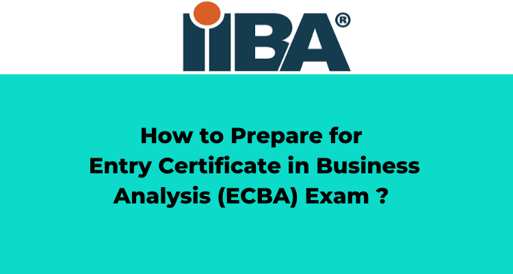 IIBA ECBA Valid Study Notes - Study ECBA Material