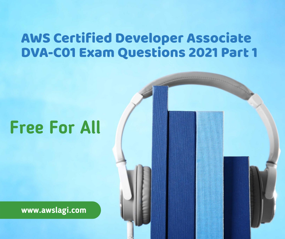 Amazon DVA-C01 Test Lab Questions, Reliable DVA-C01 Exam Topics