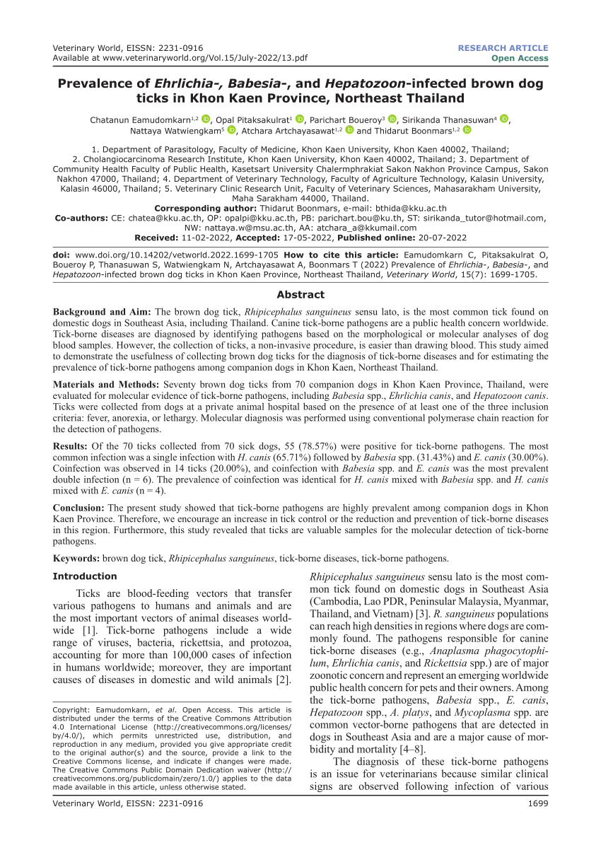 C1000-138 Reliable Exam Testking | C1000-138 Reliable Braindumps Sheet