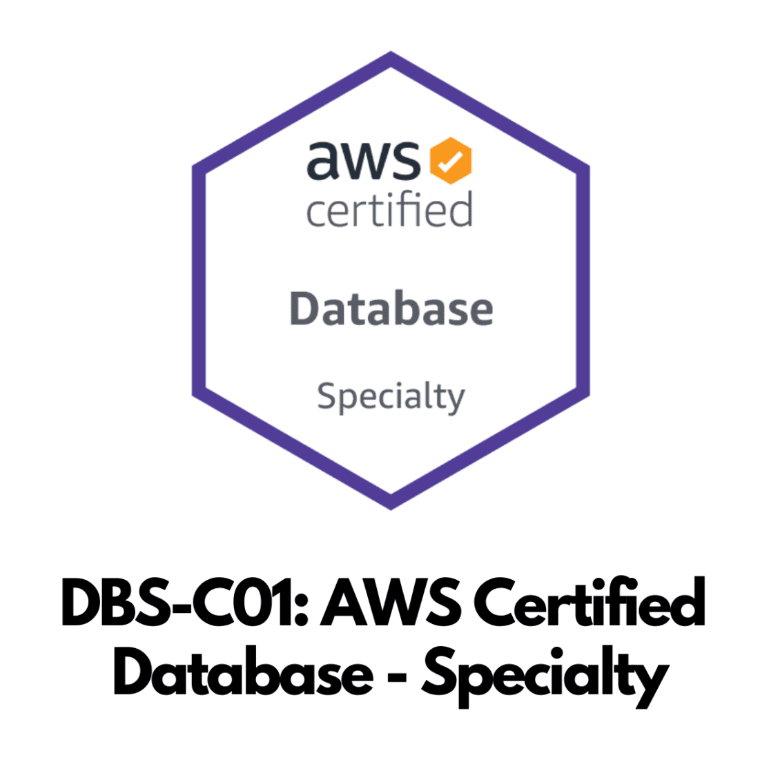 Reliable AWS-Certified-Database-Specialty Braindumps Questions, AWS-Certified-Database-Specialty Latest Guide Files