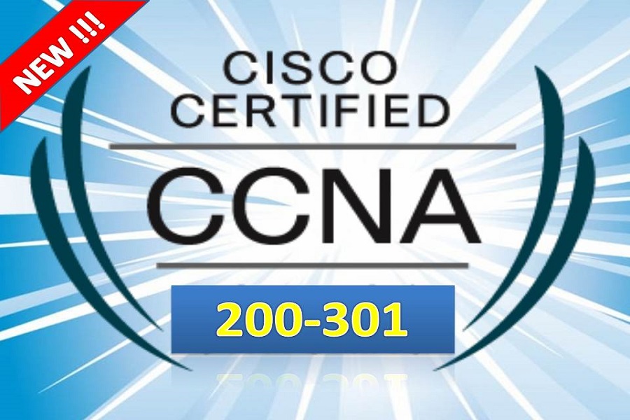 Cisco Exam 200-301 Dump - 200-301 Latest Test Vce, 200-301 Top Dumps