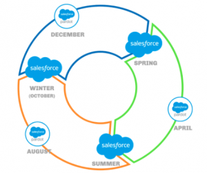 Salesforce Exam Pardot-Specialist Online & Test Pardot-Specialist Score Report