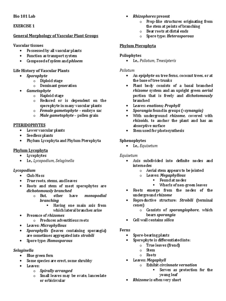 EEB-101 Certification Dump | Exam EEB-101 Questions Pdf & EEB-101 Quiz