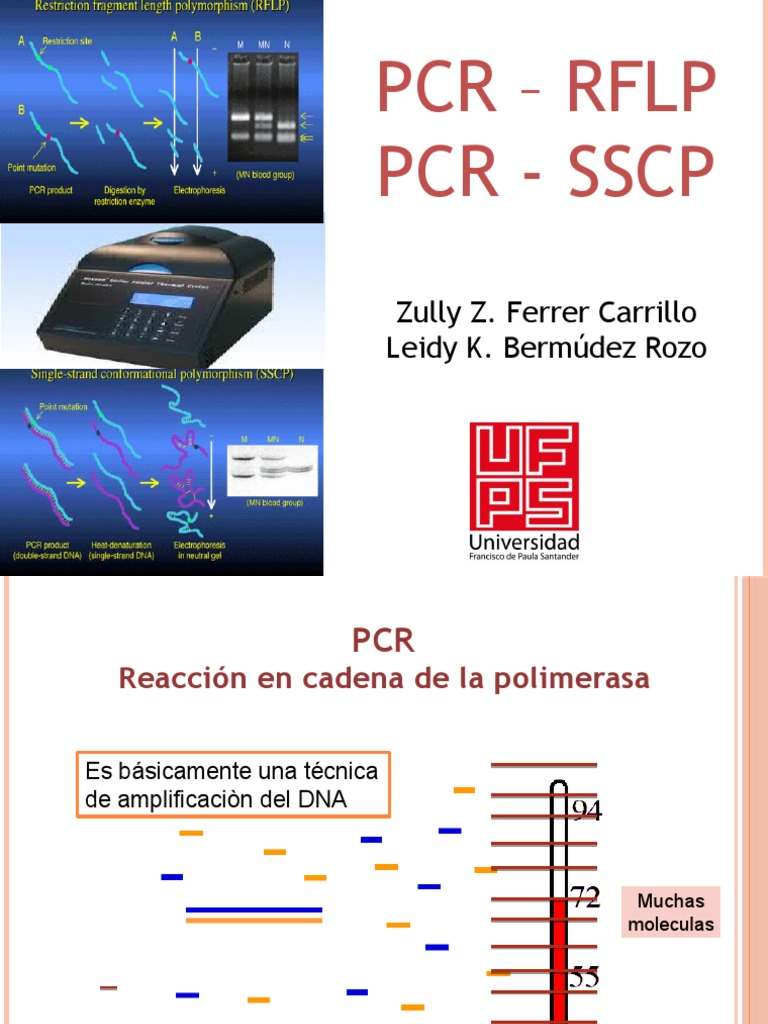 Test SSCP Book - SSCP Torrent, SSCP New Study Materials