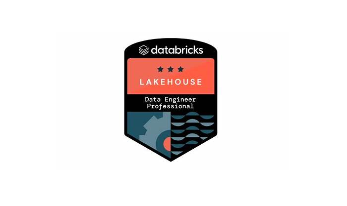 Databricks-Certified-Professional-Data-Engineer 100% Accuracy, Databricks Databricks-Certified-Professional-Data-Engineer Free Brain Dumps