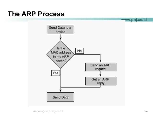 Authorized 010-151 Pdf & 010-151 Practice Mock - Reliable 010-151 Exam Cost