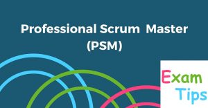 PSM-I Valid Dumps Free - Scrum PSM-I Test Torrent