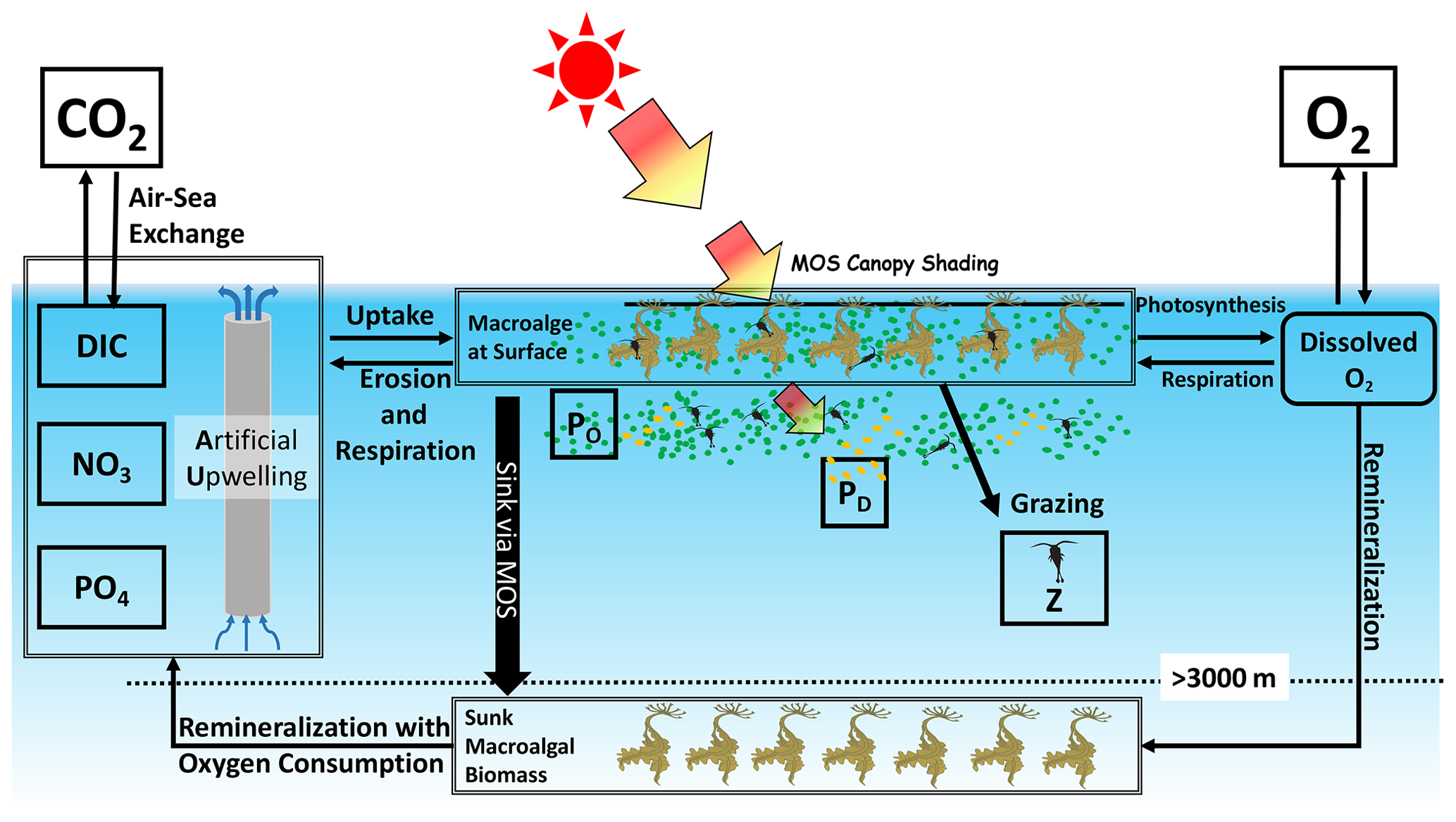 EC-COUNCIL ECSS Real Questions, ECSS Brain Dumps | Training ECSS Materials