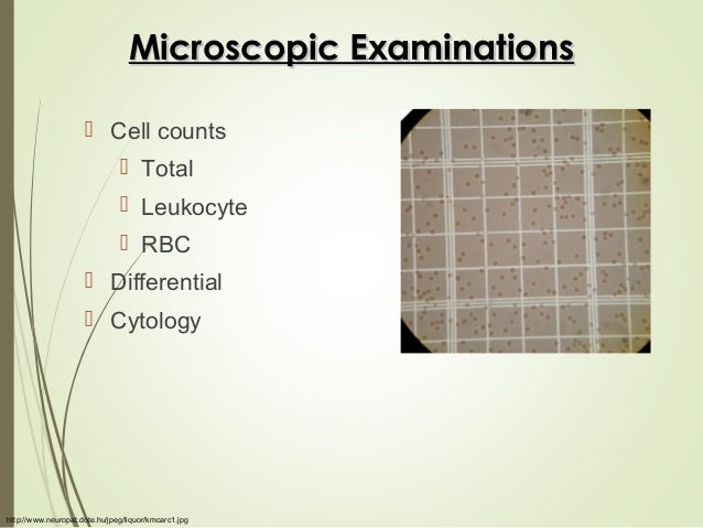 D-CSF-SC-23 Hot Questions - D-CSF-SC-23 Trusted Exam Resource, Latest D-CSF-SC-23 Exam Vce