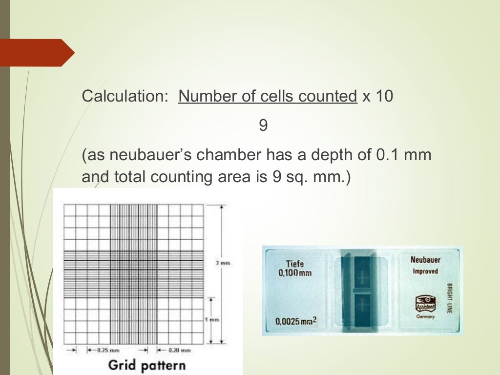 New D-CSF-SC-23 Test Vce Free - D-CSF-SC-23 New Braindumps Free, Exams D-CSF-SC-23 Torrent