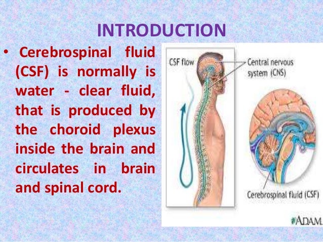 D-CSF-SC-23 Formal Test - Pass D-CSF-SC-23 Rate, Latest Study D-CSF-SC-23 Questions