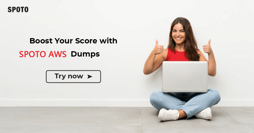 DVA-C01 Reliable Exam Voucher, Amazon DVA-C01 New Test Bootcamp