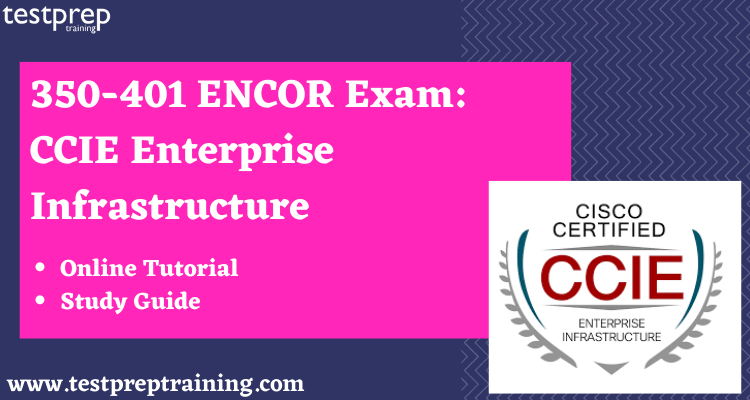 Cisco Exam 350-401 Certification Cost - 350-401 New Test Bootcamp