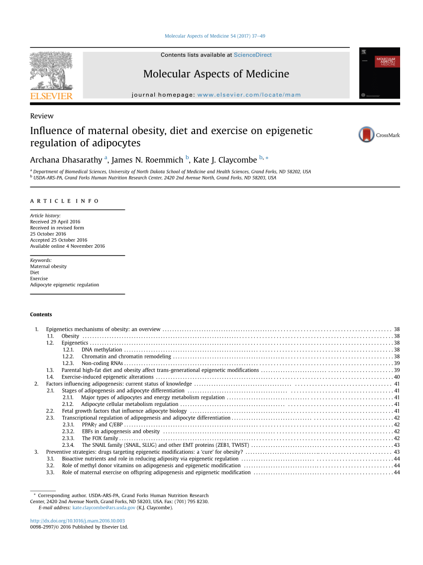 H19-338 Test Discount, H19-338 Free Sample Questions | Vce HCPP-Storage File