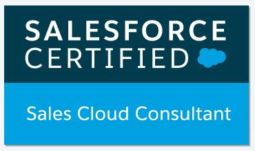 Salesforce Sales-Cloud-Consultant Vce Format, Test Sales-Cloud-Consultant Dumps.zip | Sales-Cloud-Consultant Exam Paper Pdf