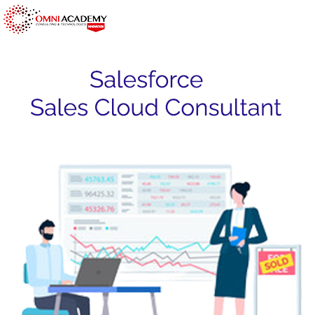 Service-Cloud-Consultant Exam Topic - Service-Cloud-Consultant Practice Exam Pdf, Valid Service-Cloud-Consultant Test Pdf