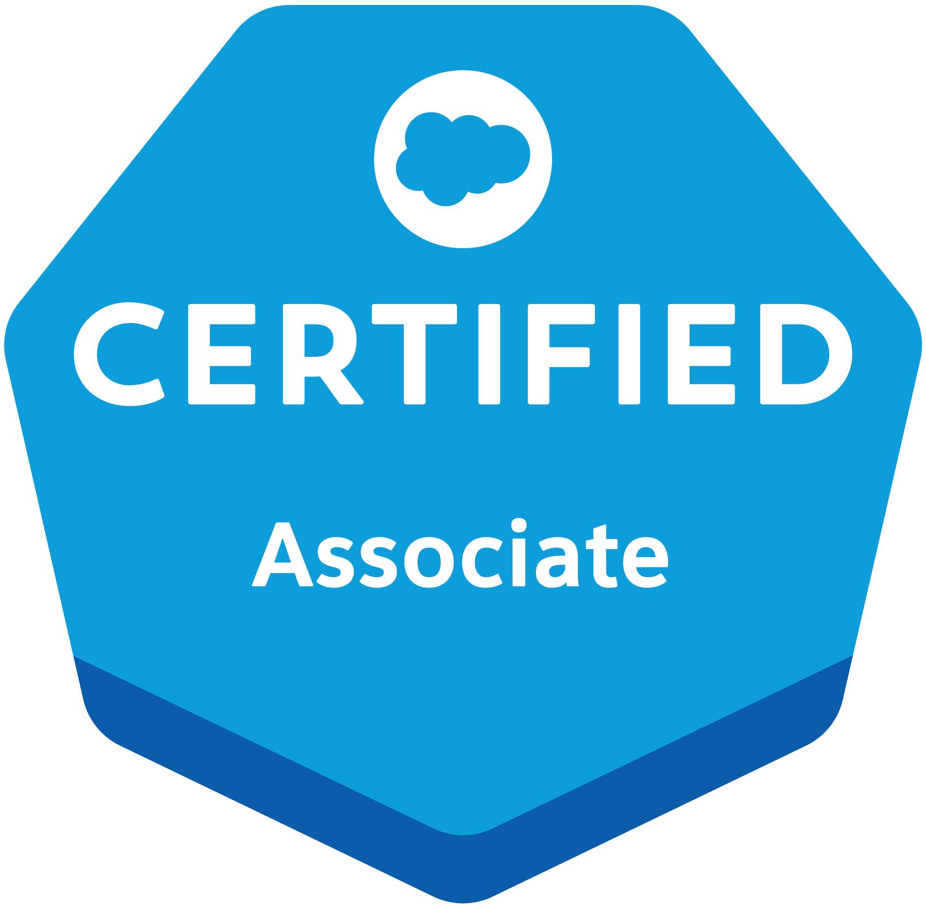 Test Salesforce-Associate Price, New Salesforce-Associate Test Topics | Salesforce-Associate Free Practice