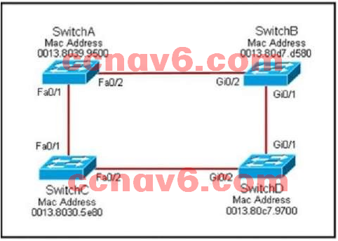 Download CCFA-200 Demo & New CCFA-200 Test Papers - Relevant CCFA-200 Exam Dumps