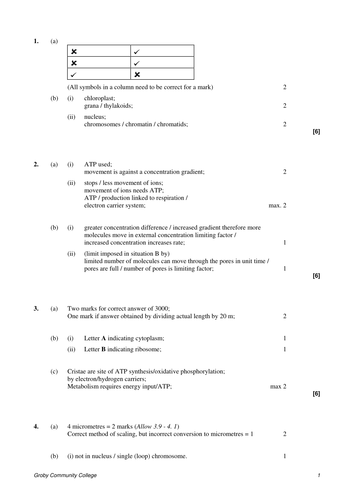 212-82 Test Guide & 212-82 Study Material - 212-82 Latest Braindumps Free