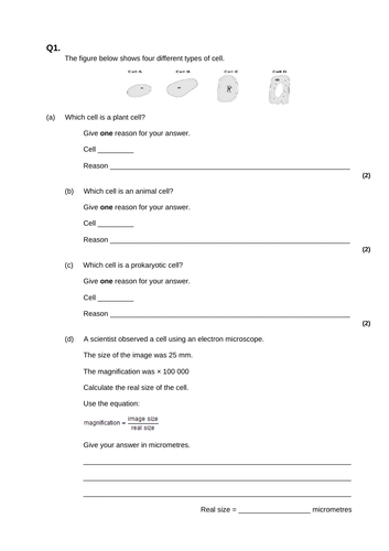 Valid L4M7 Test Registration & Latest L4M7 Braindumps Pdf